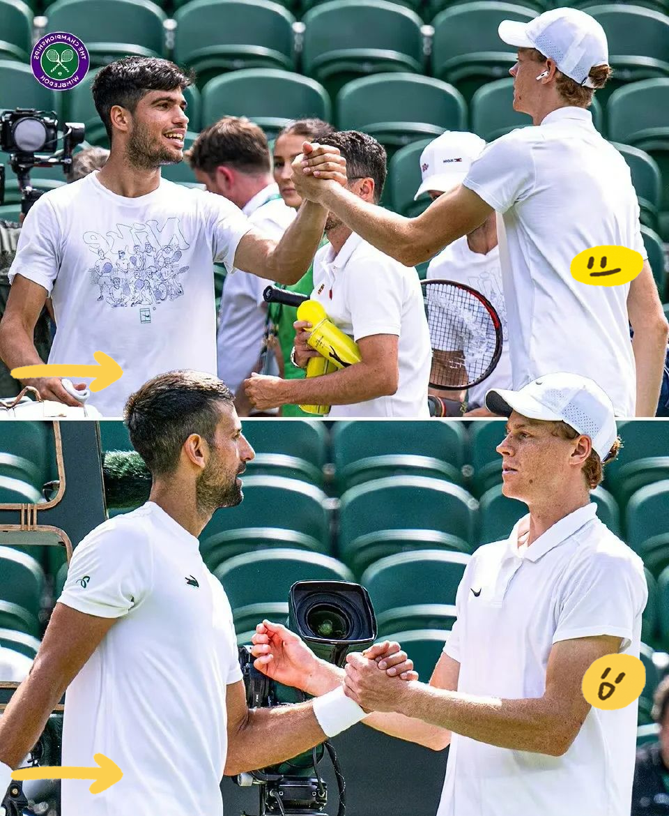 温网逆转拉沃尔杯，穆雷状态火热