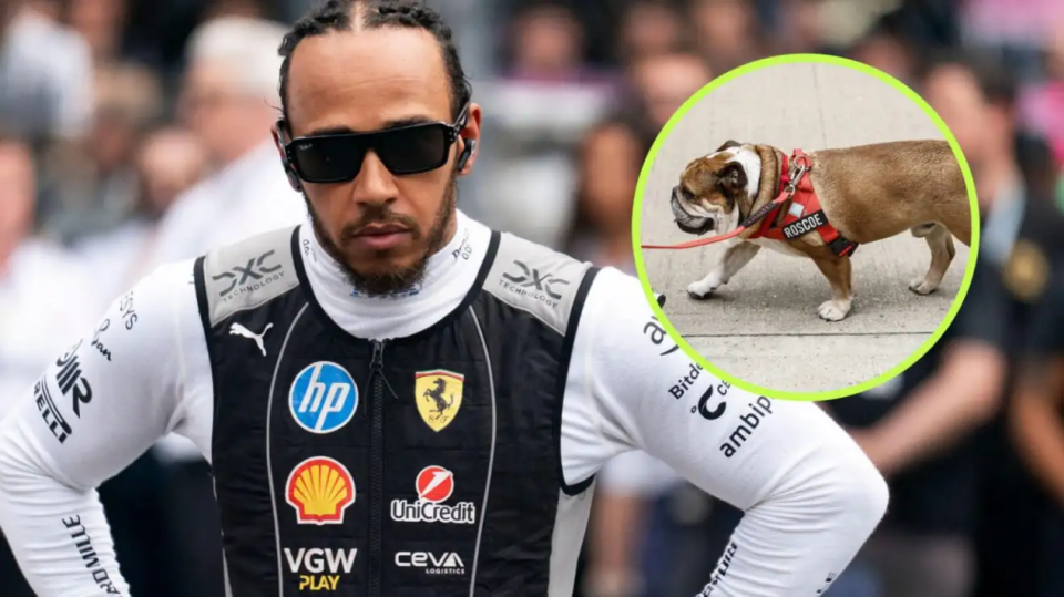 威廉姆斯险胜索伯车队，汉密尔顿统治全场