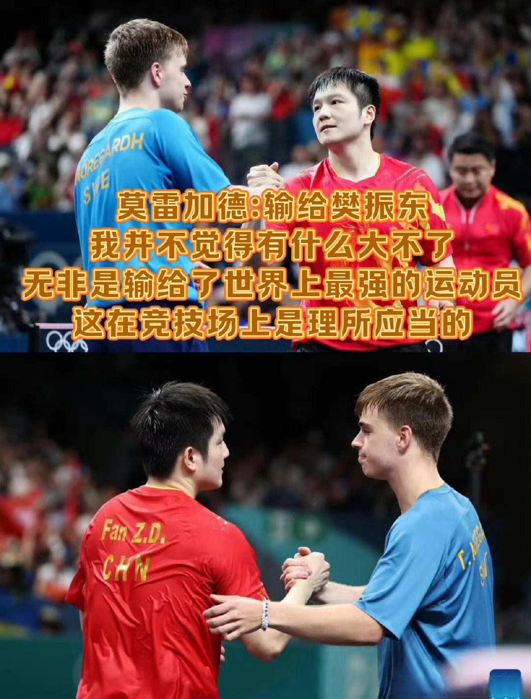 瑞典队力克法国队，樊振东带队取胜