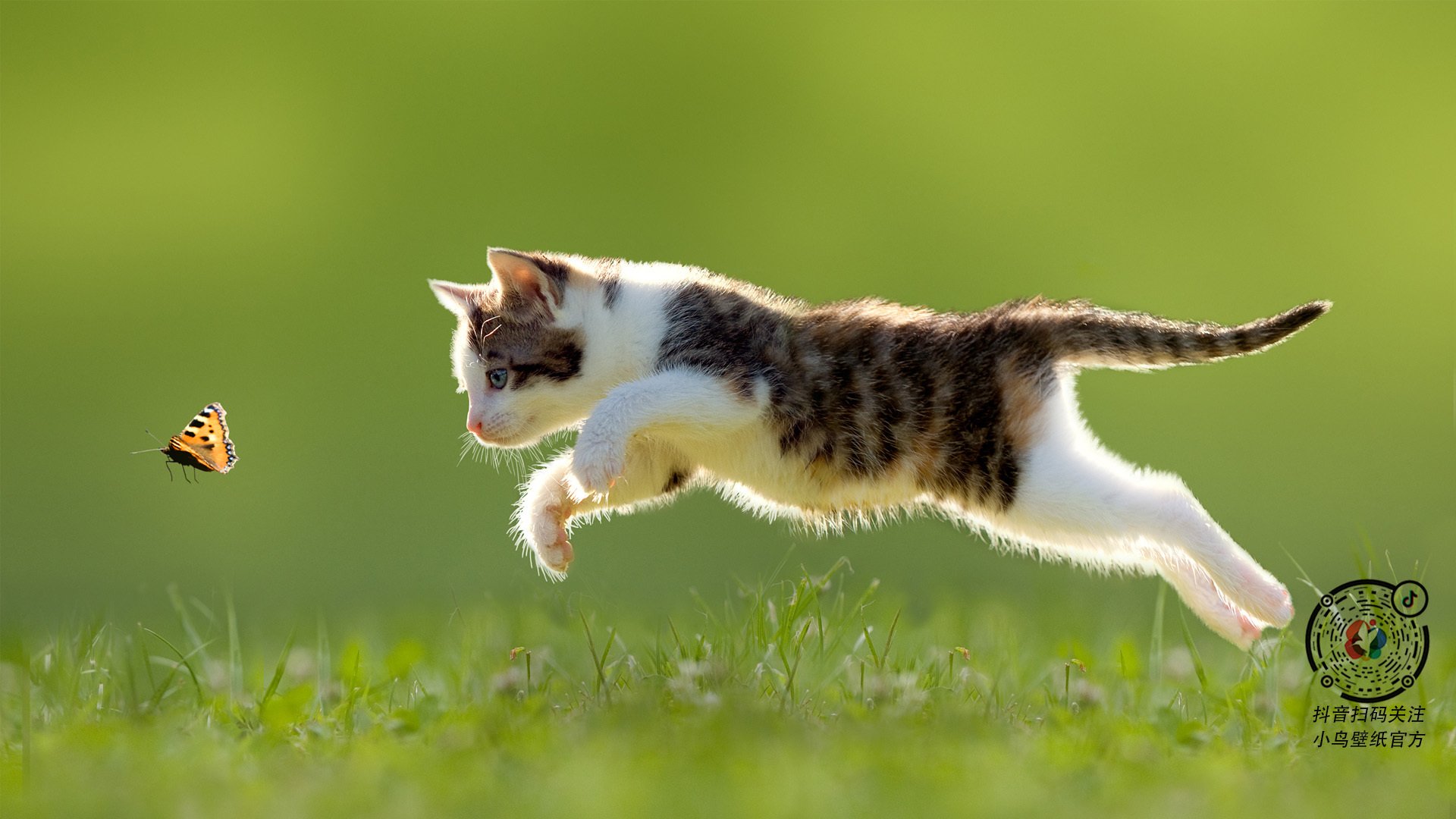 戈贝尔赛后评分拉满，火箭对阵活塞，一场定义唯一性的防守盛宴