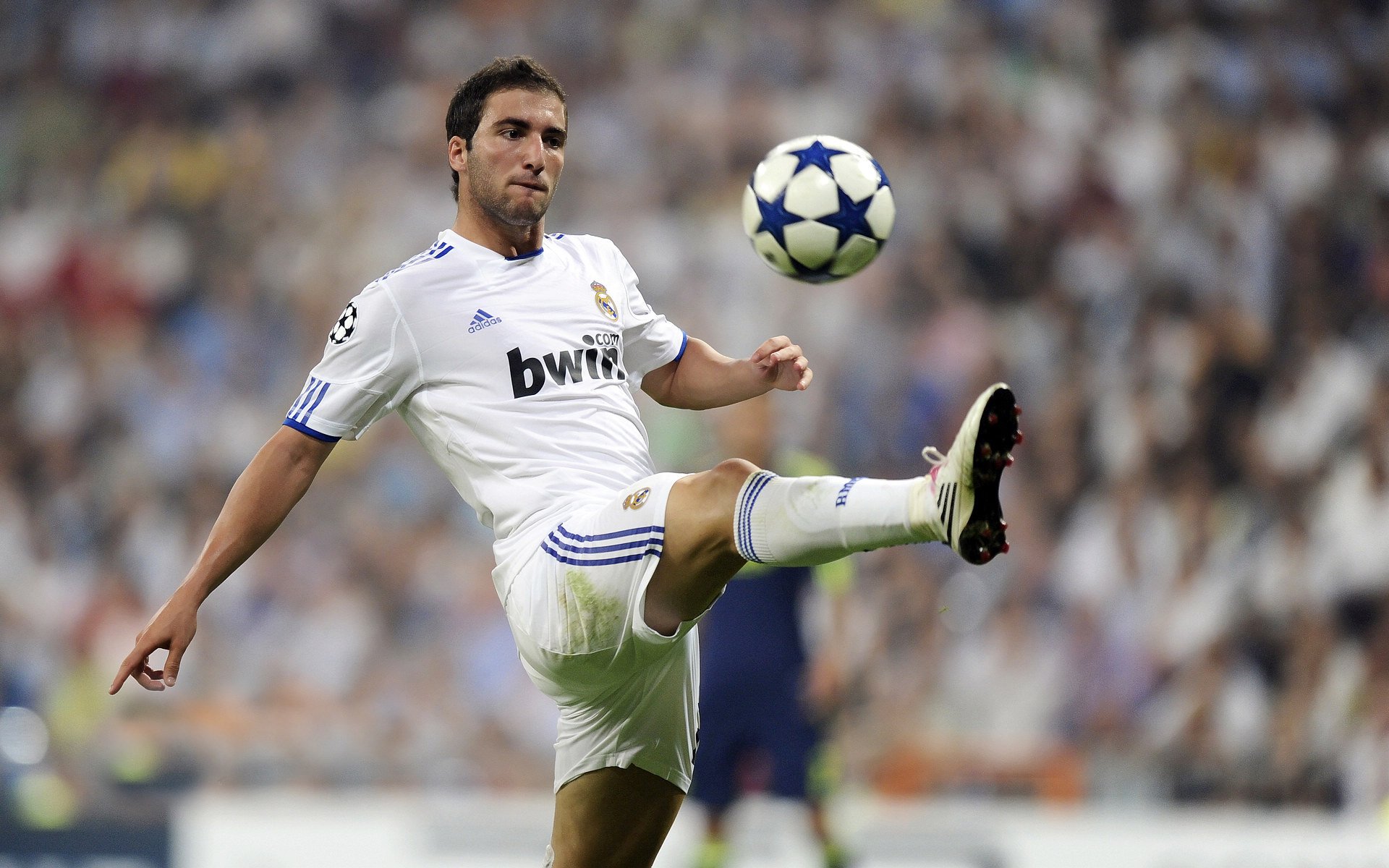 熊猫体育官网入口-库里封神夜,骑士铁蹄难越,勇士王座再固