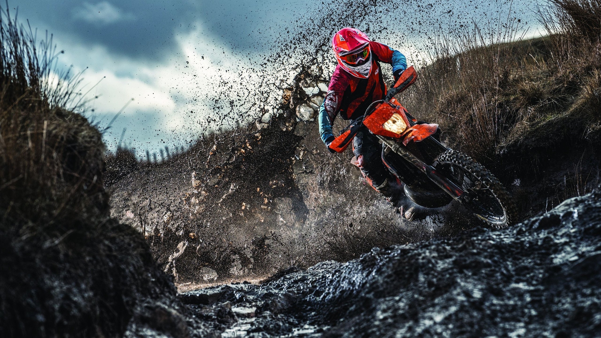 巴黎赛场惊现中国旋风，张继科状态如火山喷发，中国队横扫法国队展现统治力